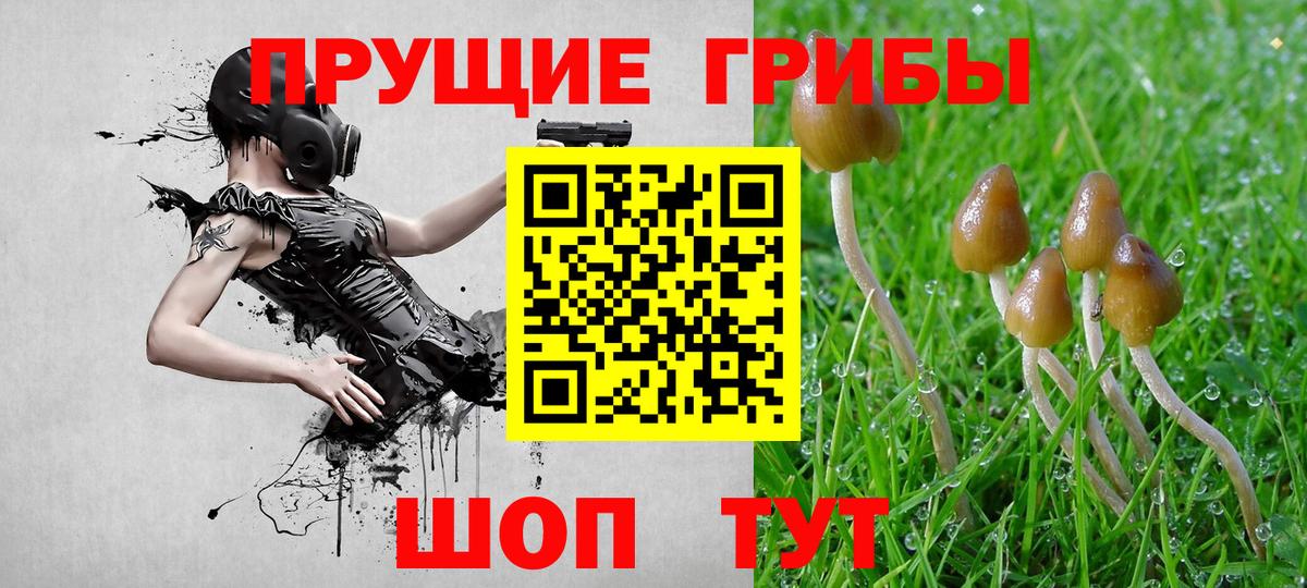 Галлюциногенные грибы MAGIC MUSHROOMS Туймазы