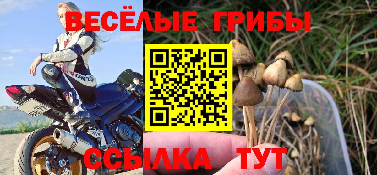 Псилоцибиновые грибы мухоморы  Псилоцибиновые грибы мухоморы  Туймазы  Вход с VPN 